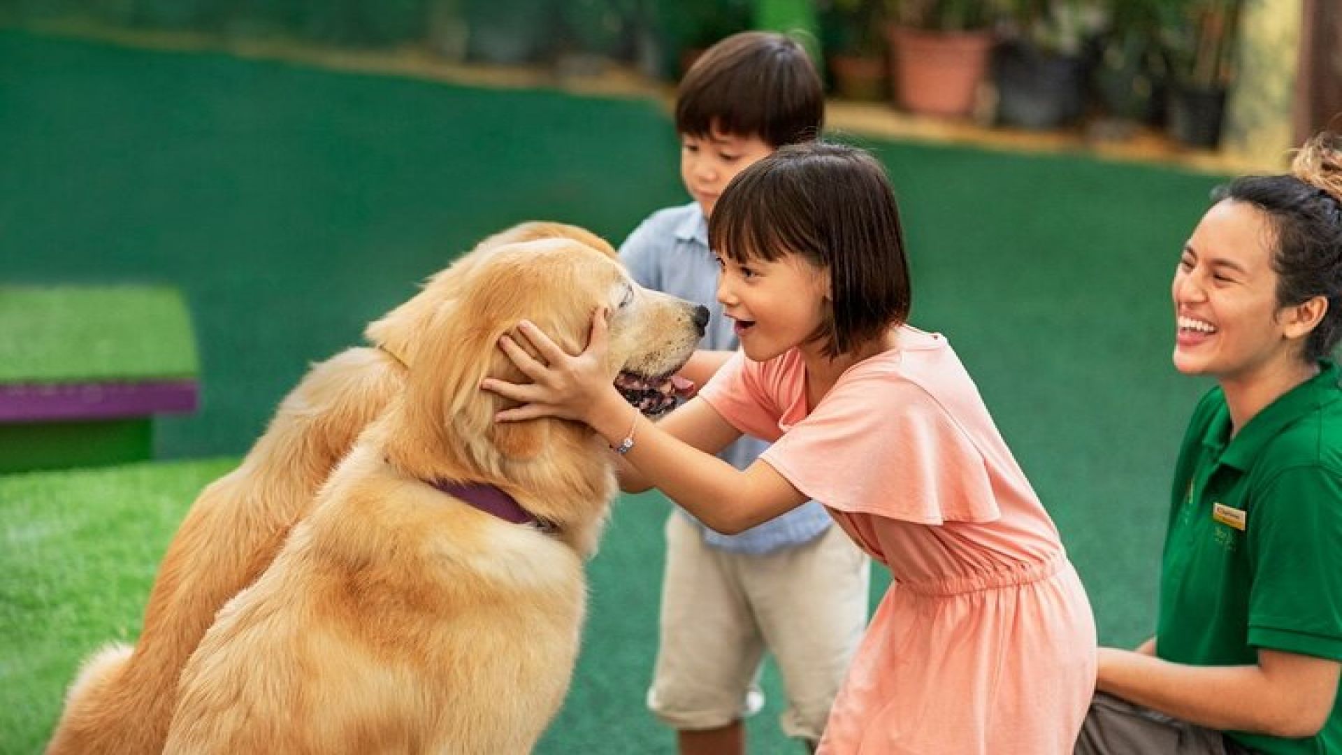 Singapore 3 Park Explorer Pass: Zoo, River Wonders, Bird Paradise