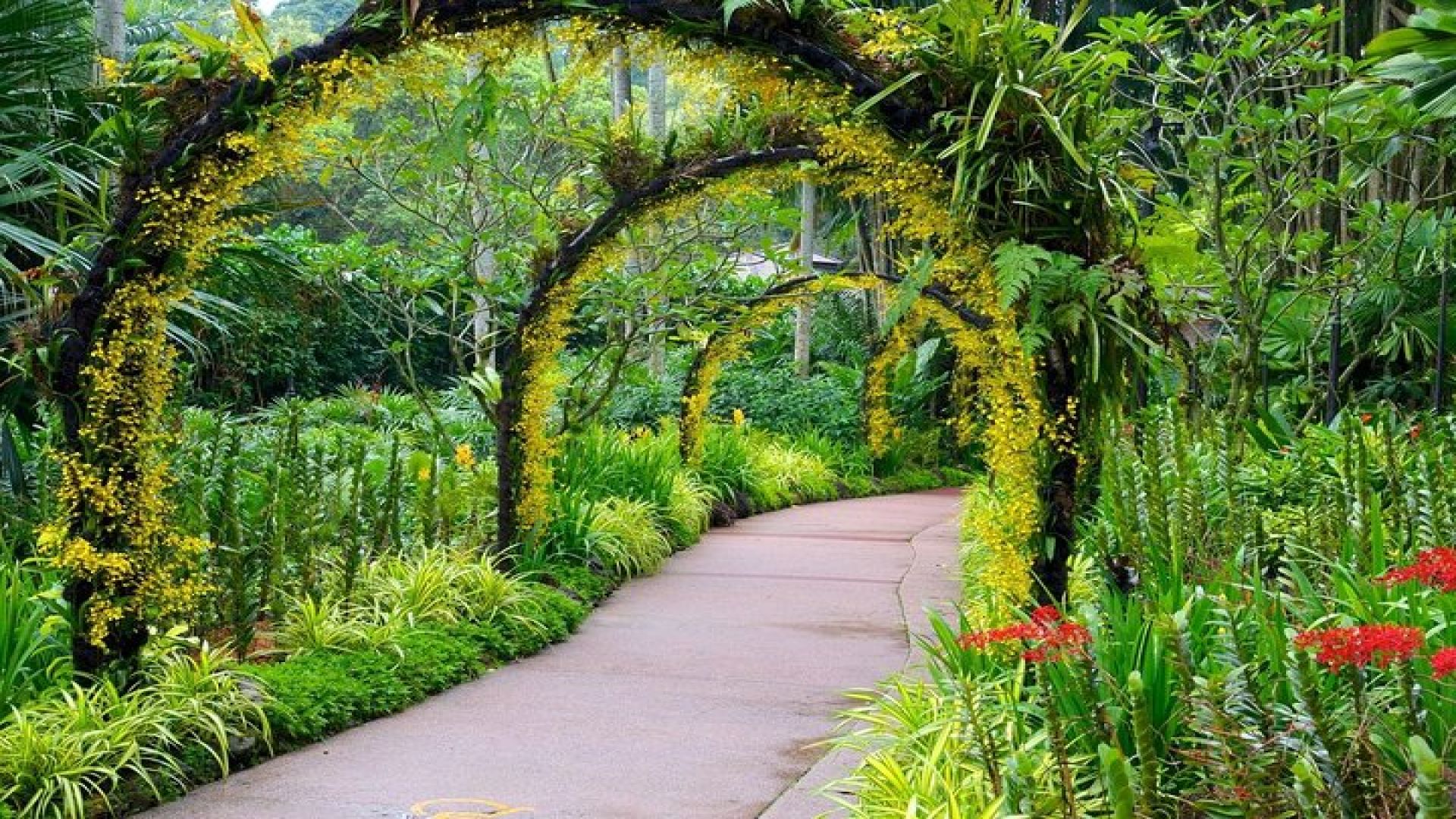 Singapore: National Orchid Garden Admission Ticket