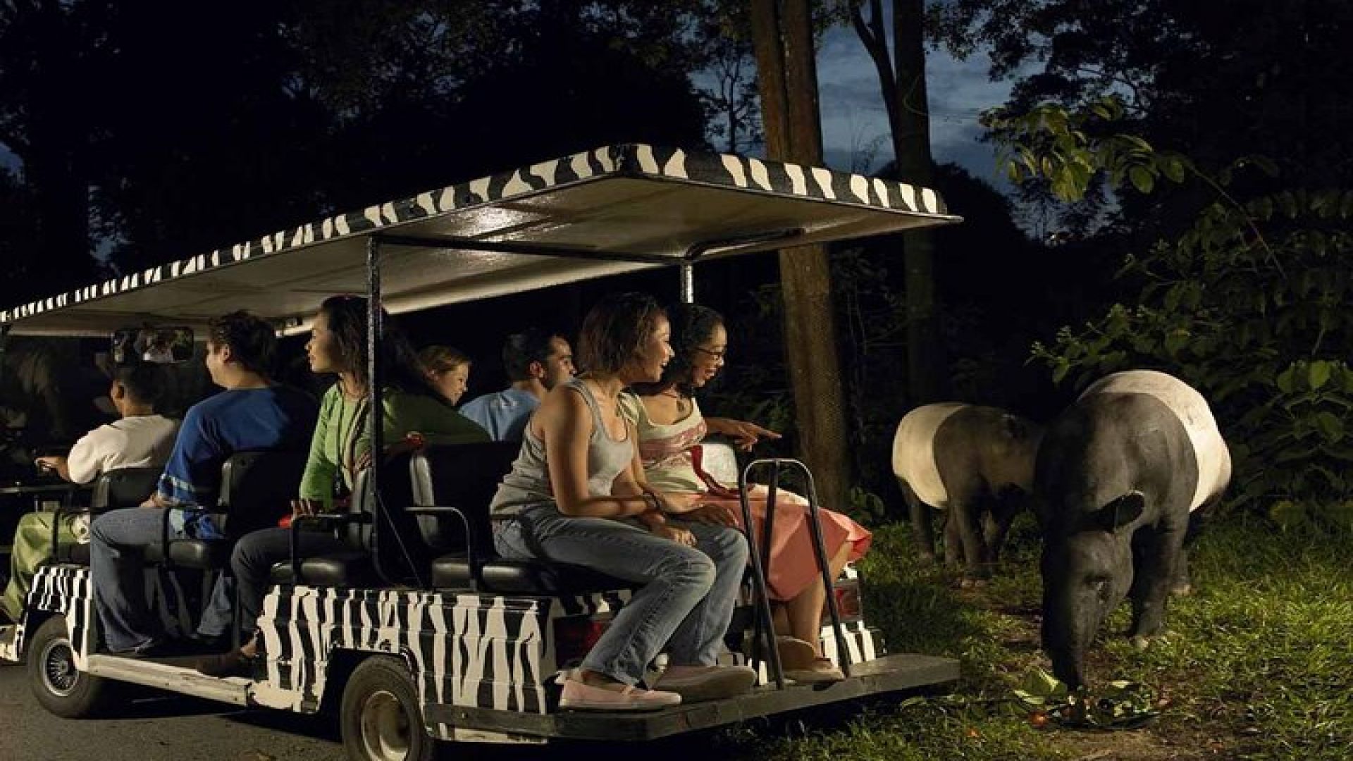 Singapore: Night Safari Entry Ticket