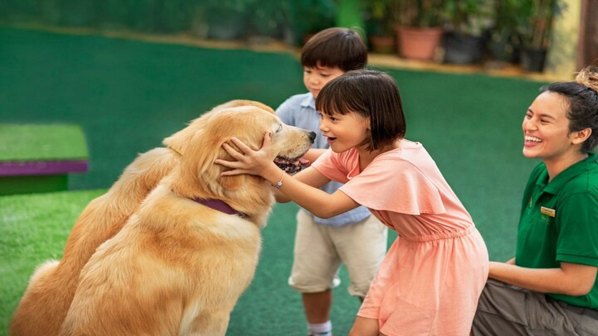 Singapore Zoo Entry Ticket