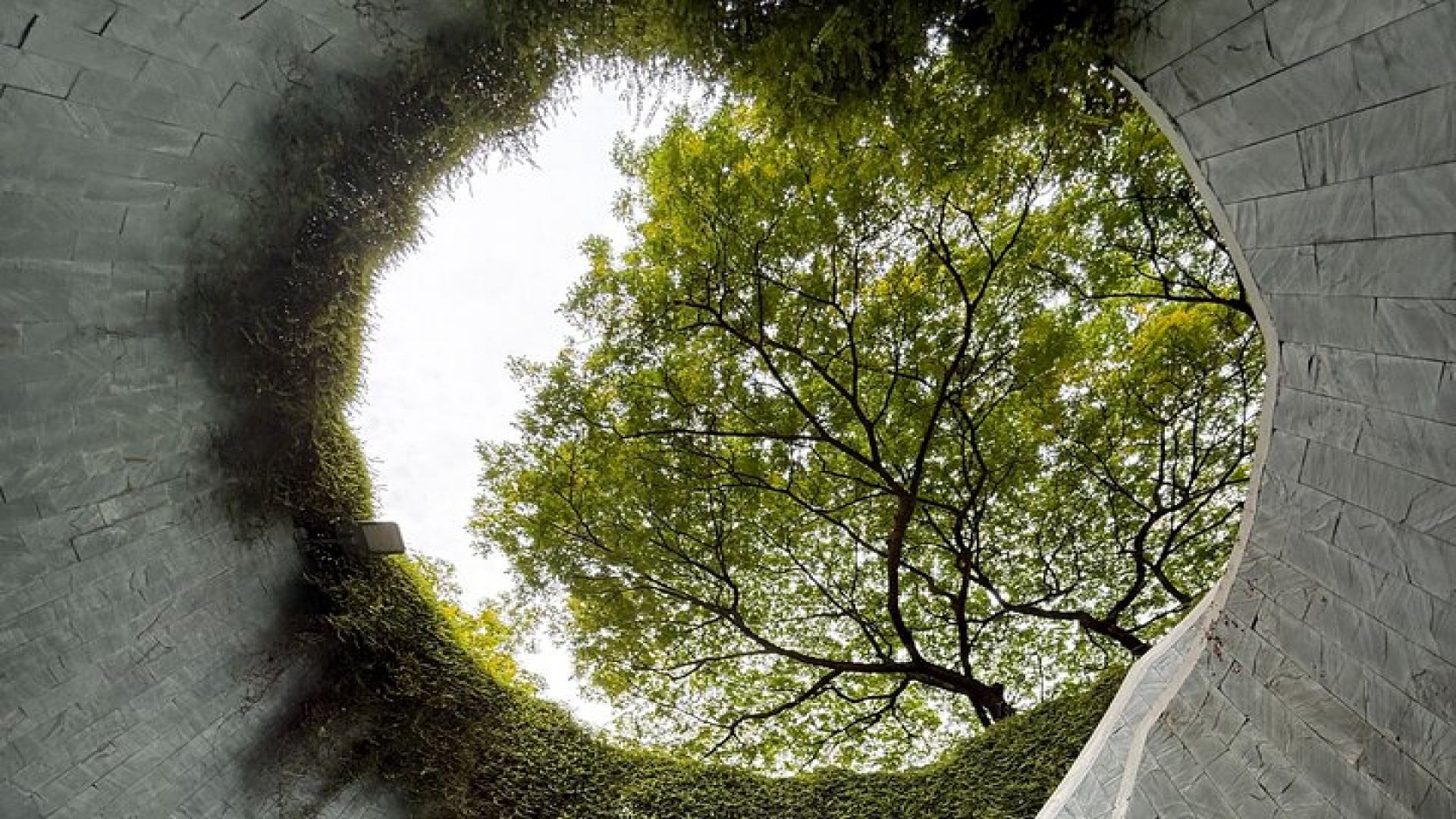 Fort Canning and Singapore River Join In Walking Tour