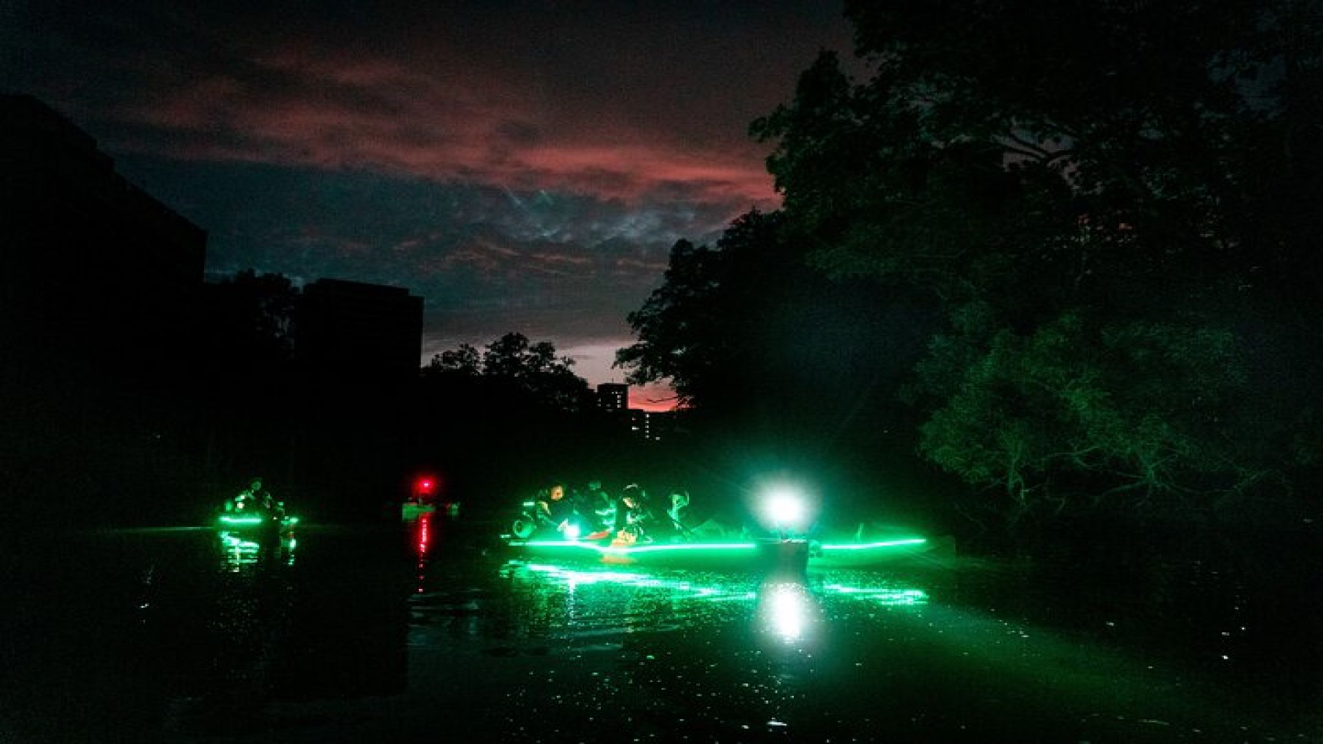 Glow Kayak Night Adventure in the Mangroves
