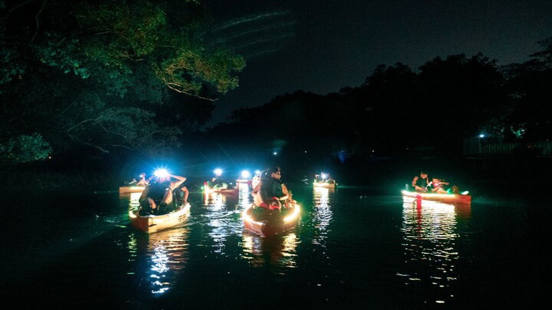 Glow Kayak Night Adventure in the Mangroves