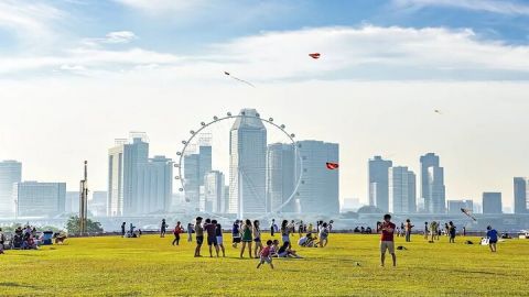 Singapore Garden City Experiences with Stunning Parks Views
