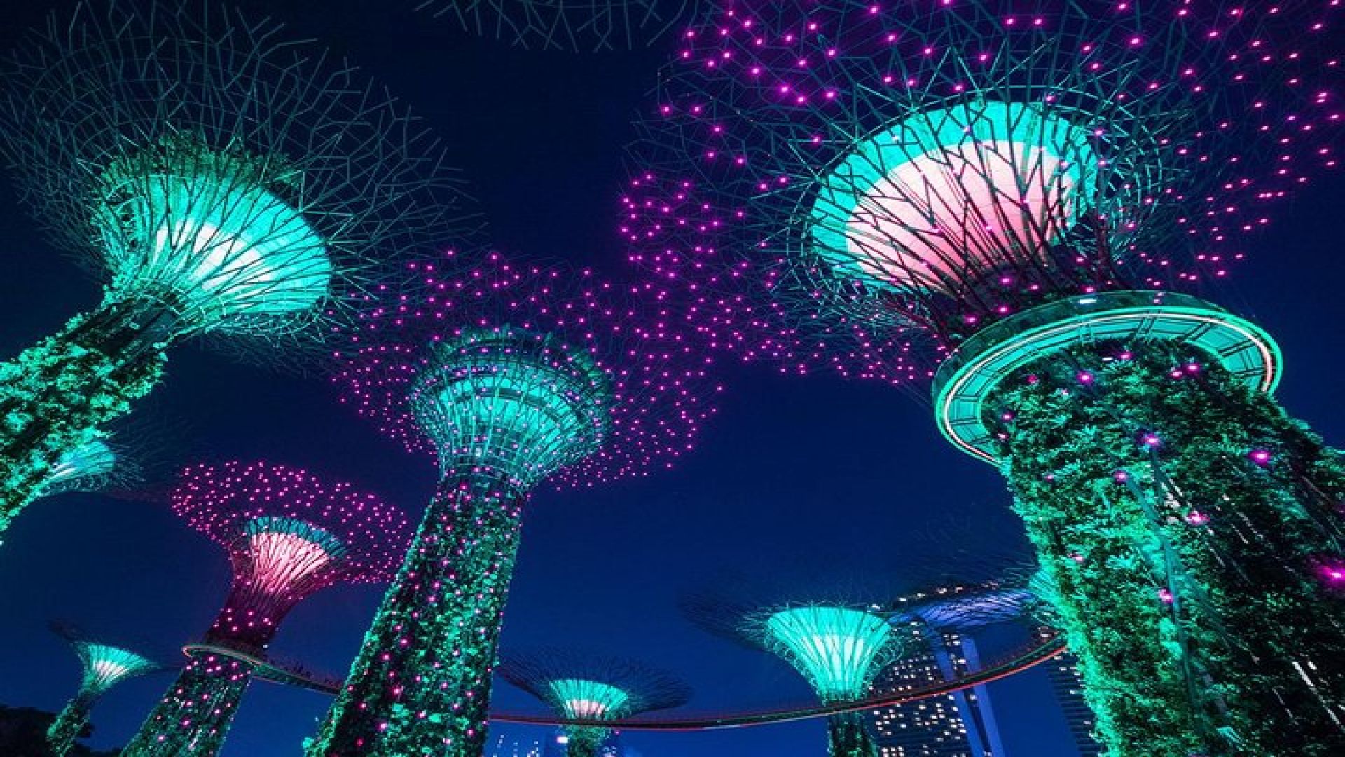 Private Tour: Nighttime Sightseeing with River Cruise