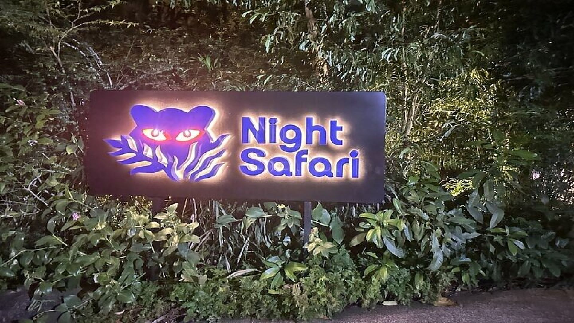 Singapore Night Safari