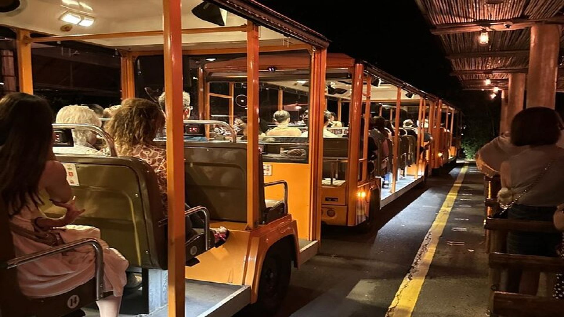 Singapore Night Safari