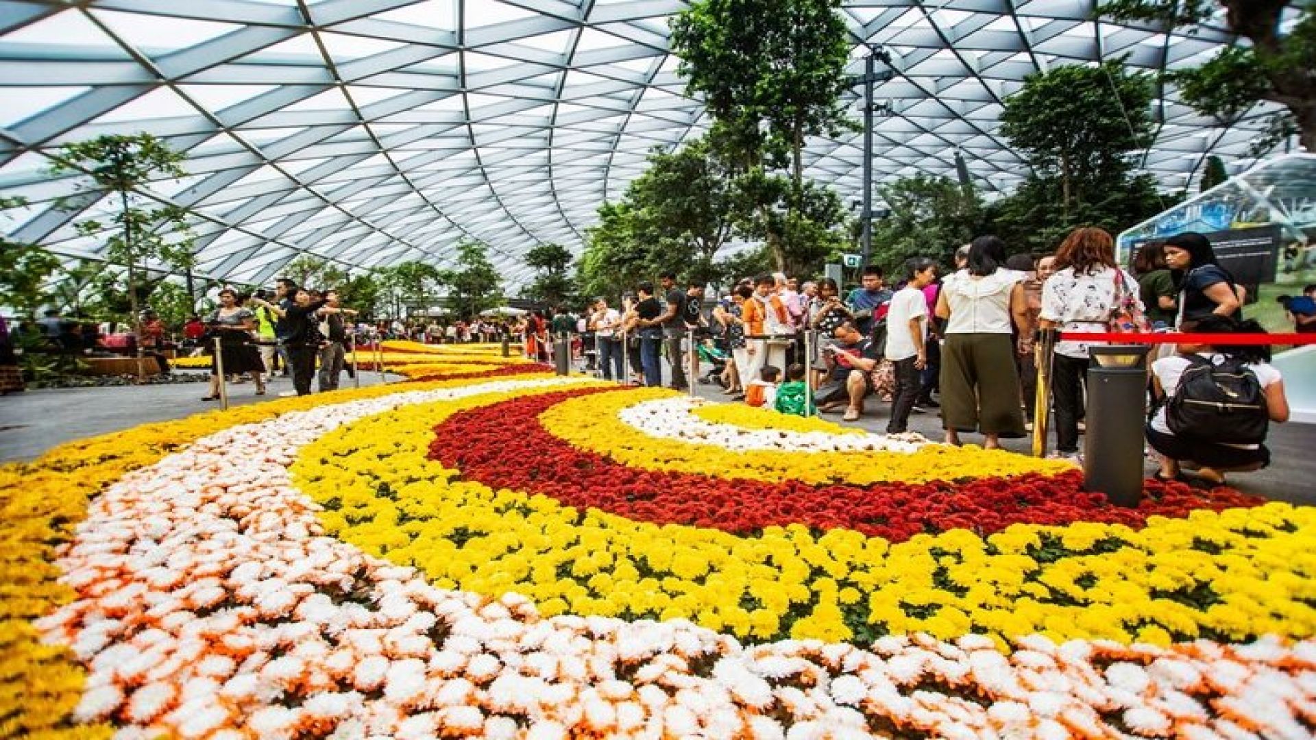 Skip the Line Ticket to Mirror Maze and Canopy Park in Singapore