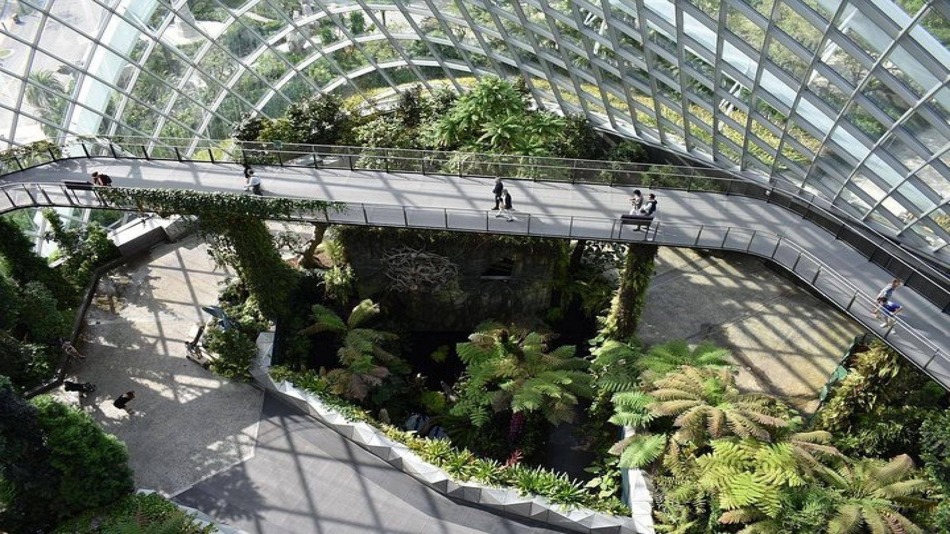 Singapore: Gardens by the Bay Admission E-Ticket