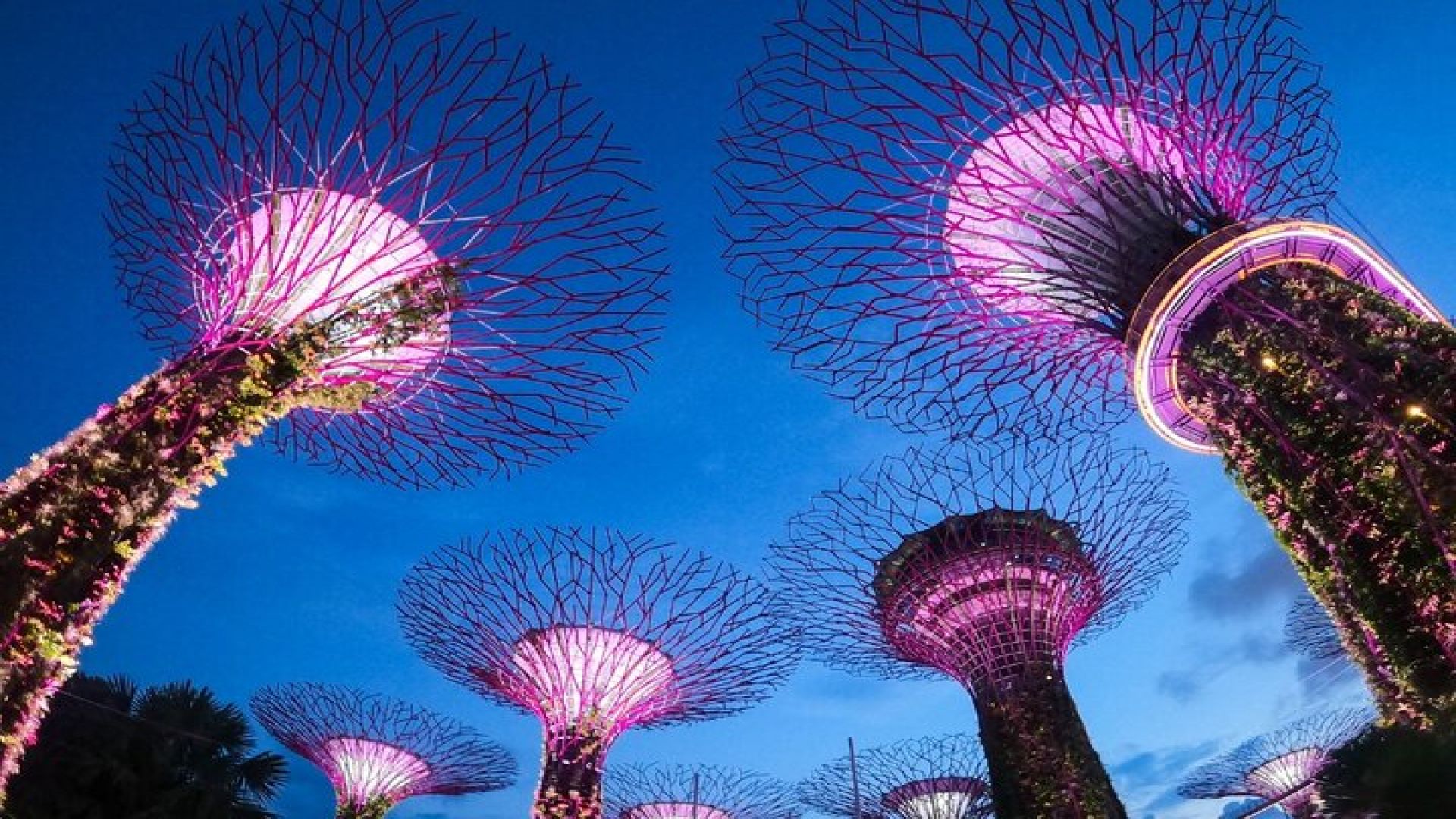 Singapore\'s Marina Bay Wonders and Heritage Tales, Chinatown