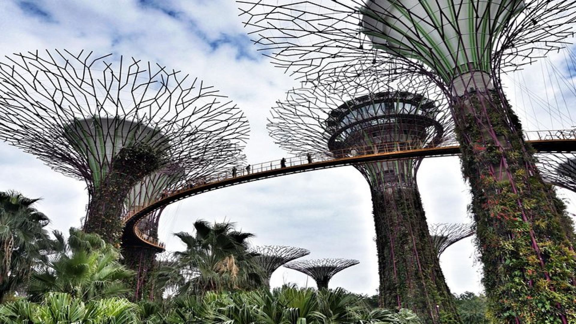 6 or 8 Hour Private Shore Excursion of Singapore by walk