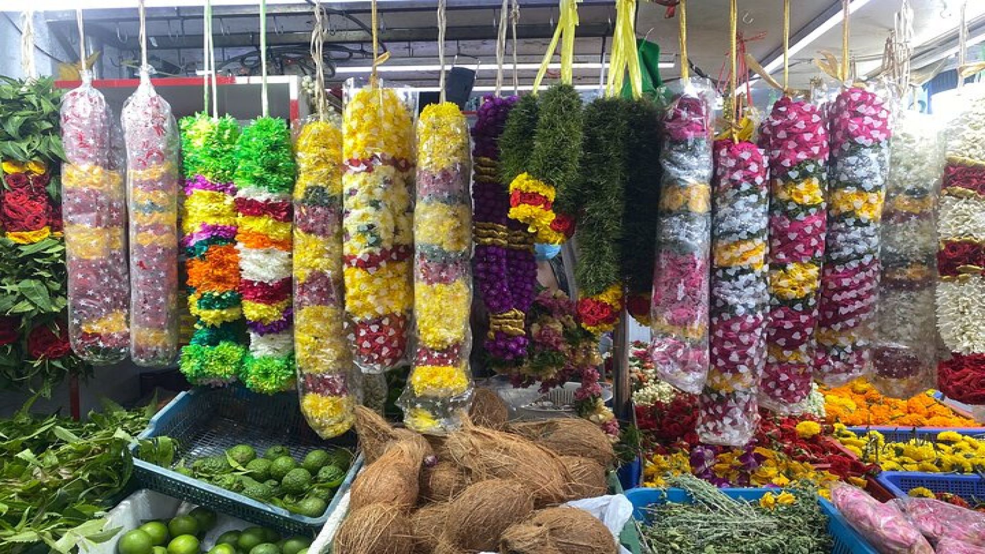 *Most Popular* The Singapore City Tour 