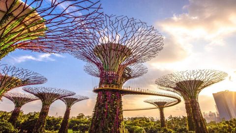 Singapore Half Day City Tour w Skypark and Gardens By The Bay