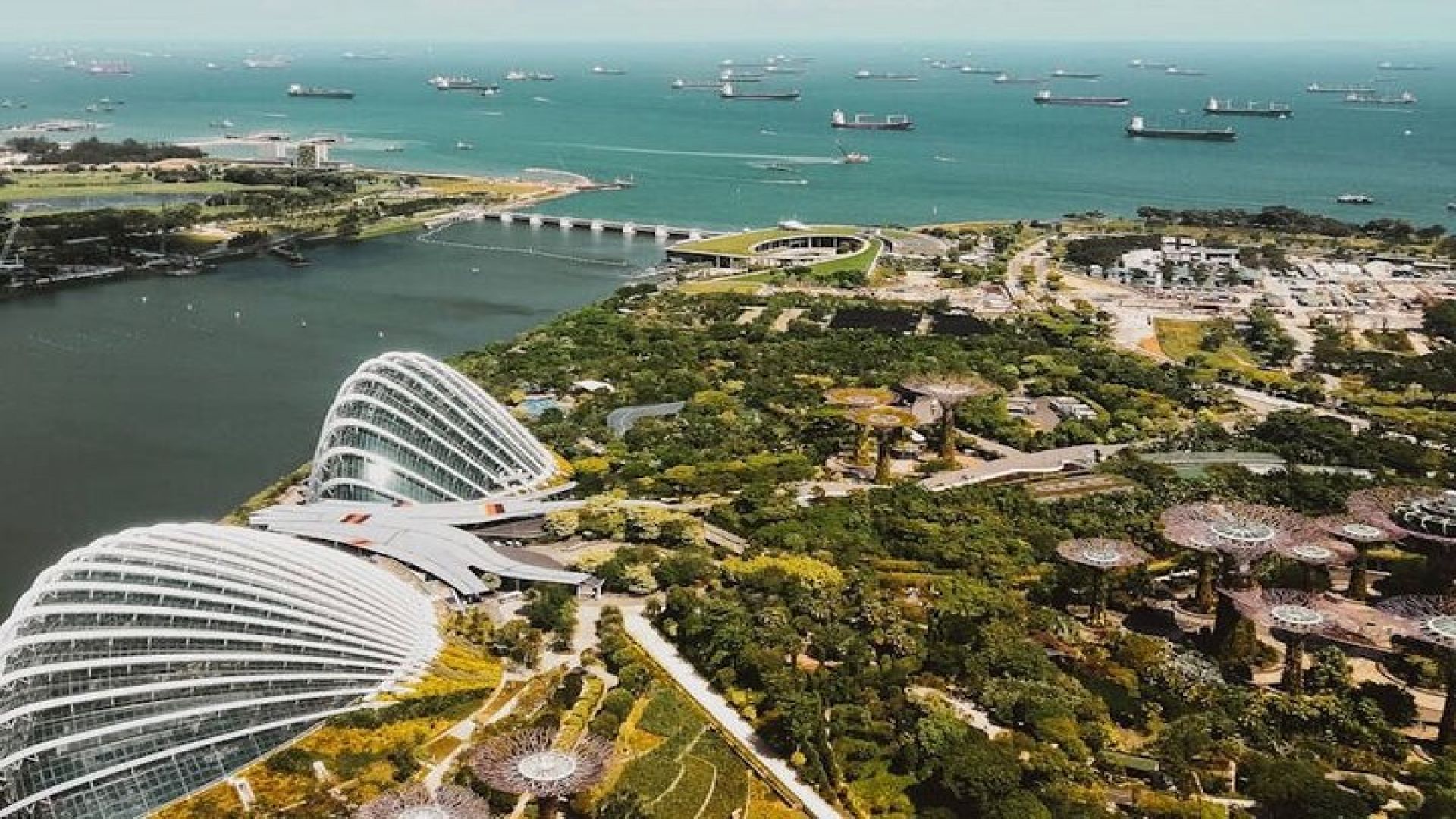 Merlion to Gardens: Singapore’s Top Sights for a Steal