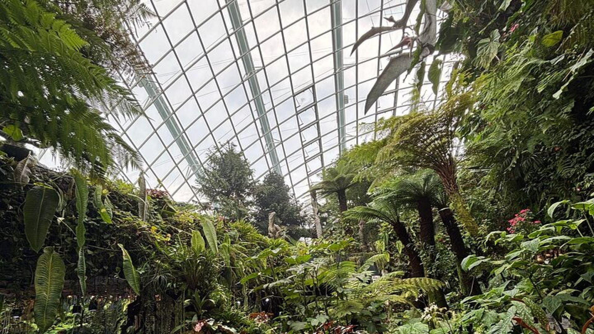 Small Group Singapore Morning City Tour with Gardens By The Bay 