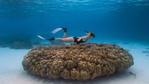 Raya Island / Mai Ton Island Private Boat Tour