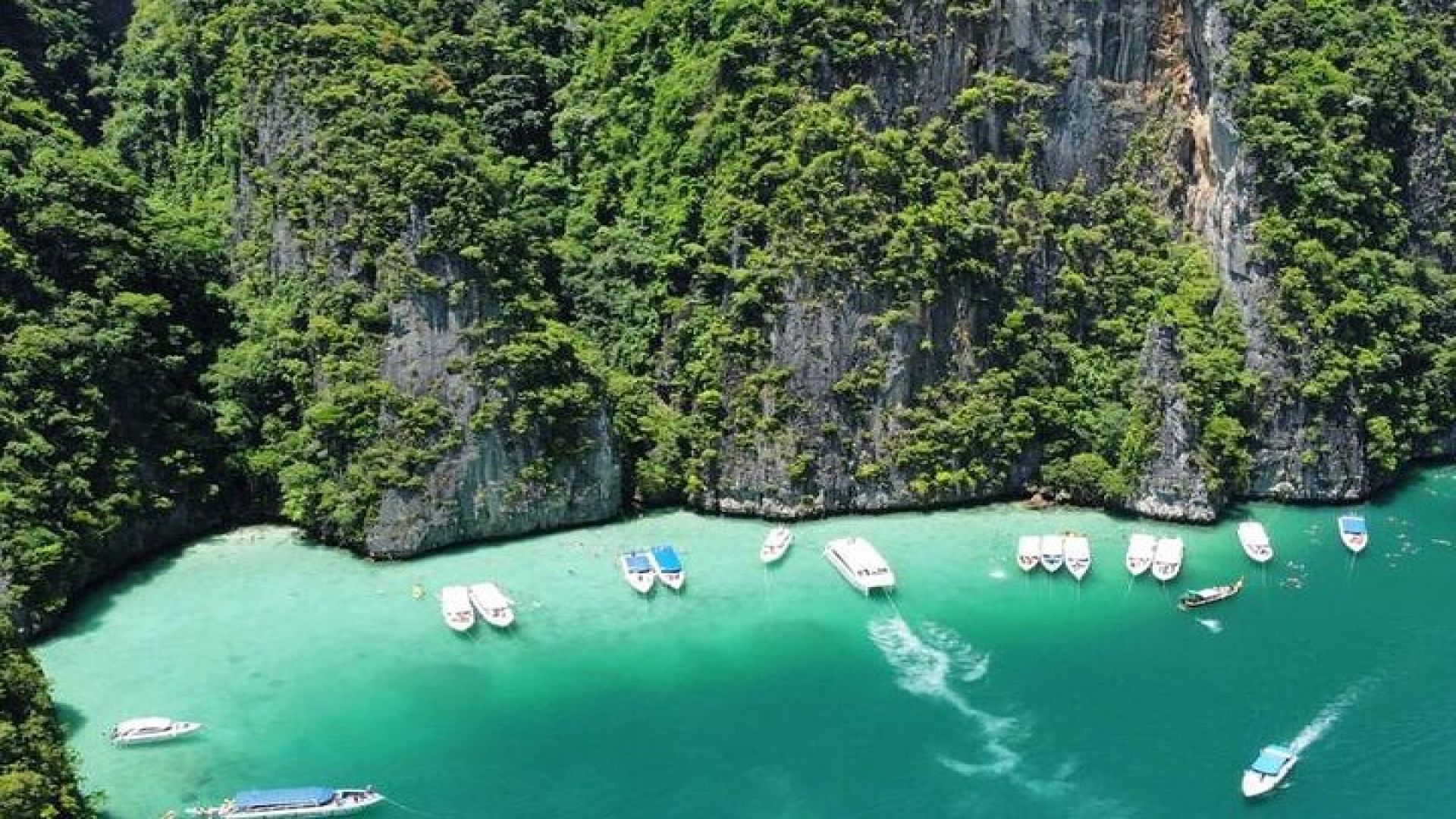Private Speed Boat Phi Phi and Bamboo Islands 