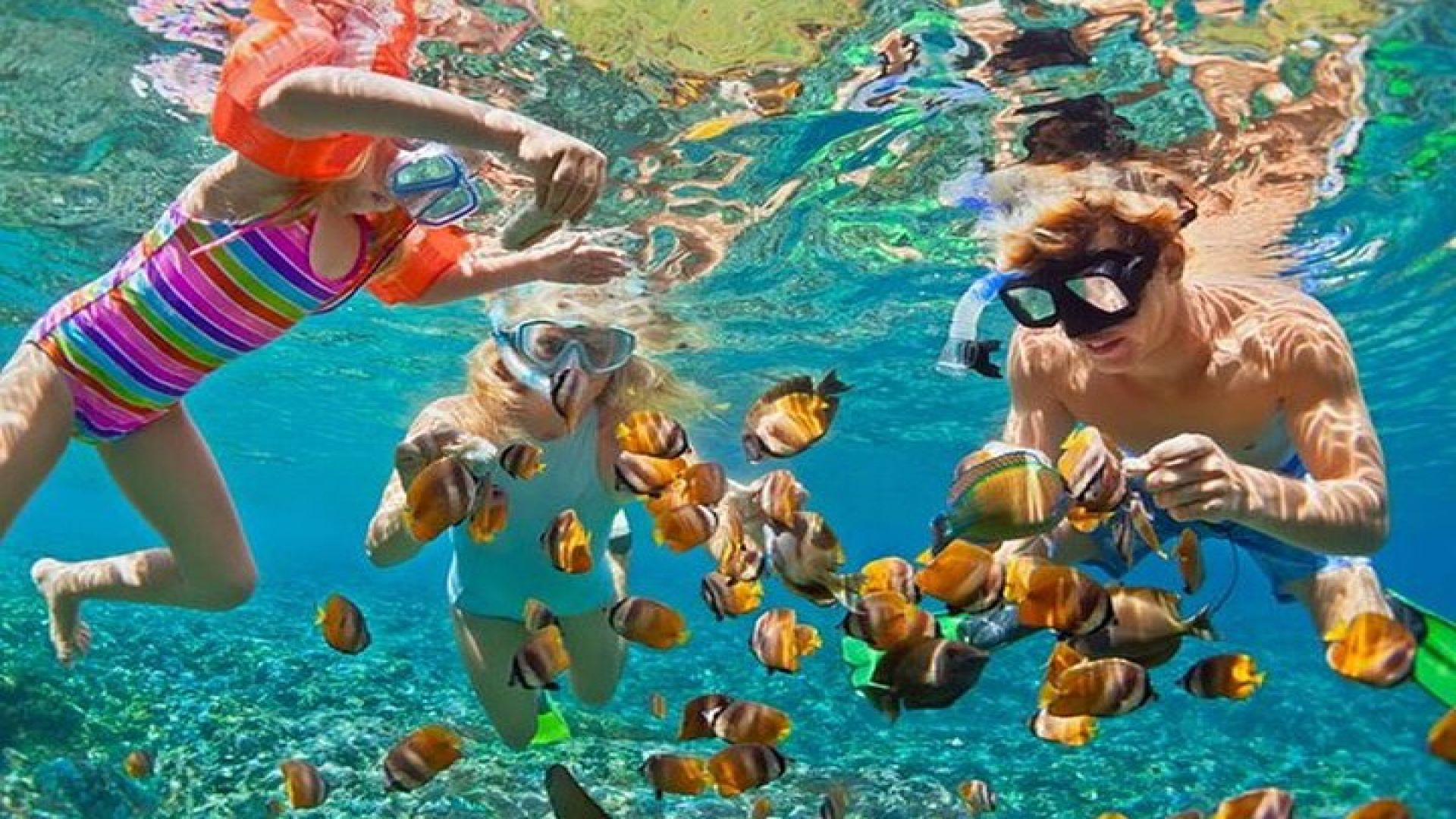 Private Speed Boat Phi Phi and Bamboo Islands 