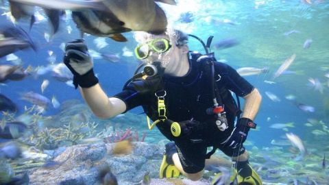Pattaya Underwater World - Discover Ocean Treasures