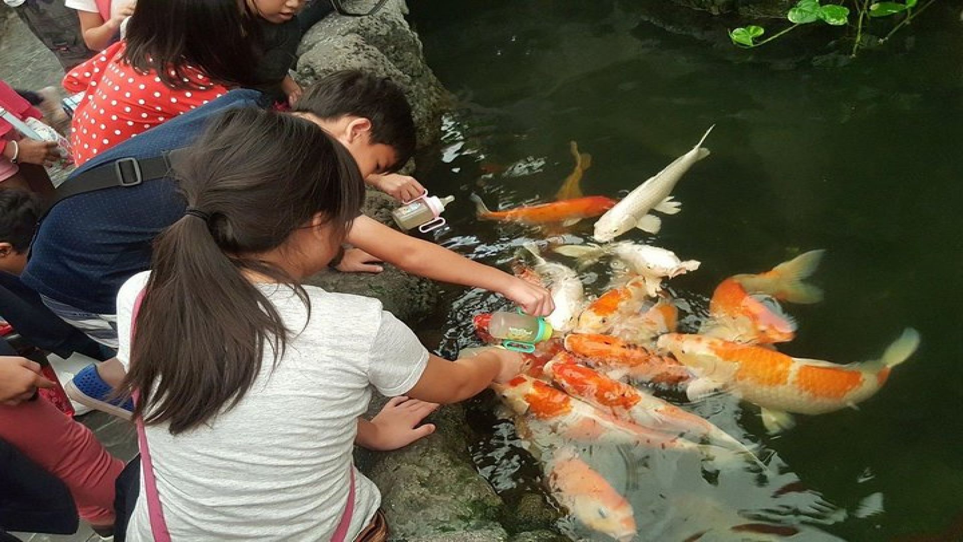 Pattaya Underwater World - Discover Ocean Treasures