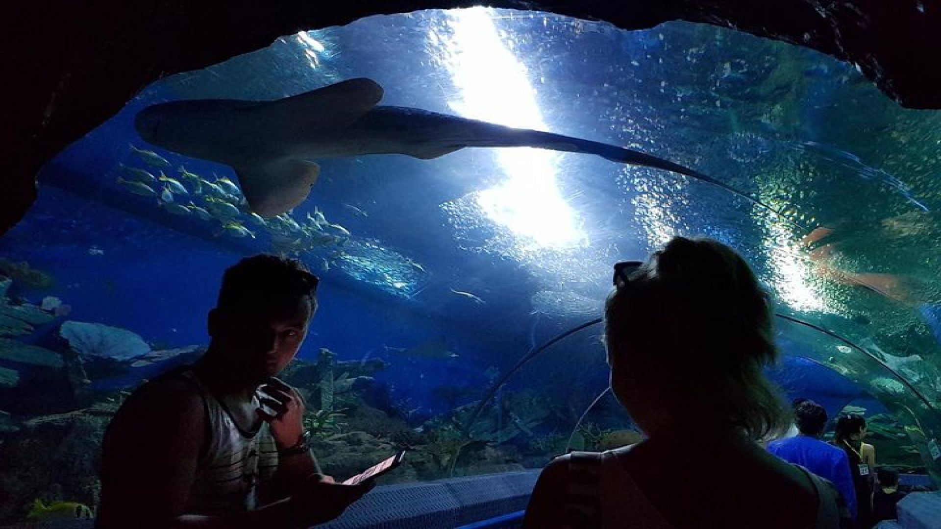 Pattaya Underwater World - Discover Ocean Treasures