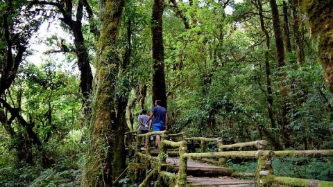 One Day Inthanon National Park (Private Tour)