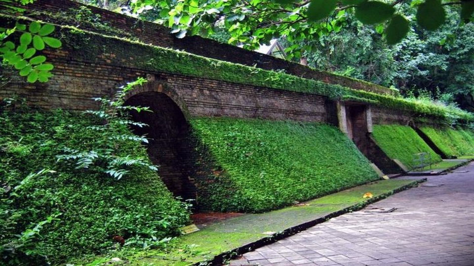 Half Day Umong Temple and Monk Chanting at Doi Suthep Temple ( Private tour)