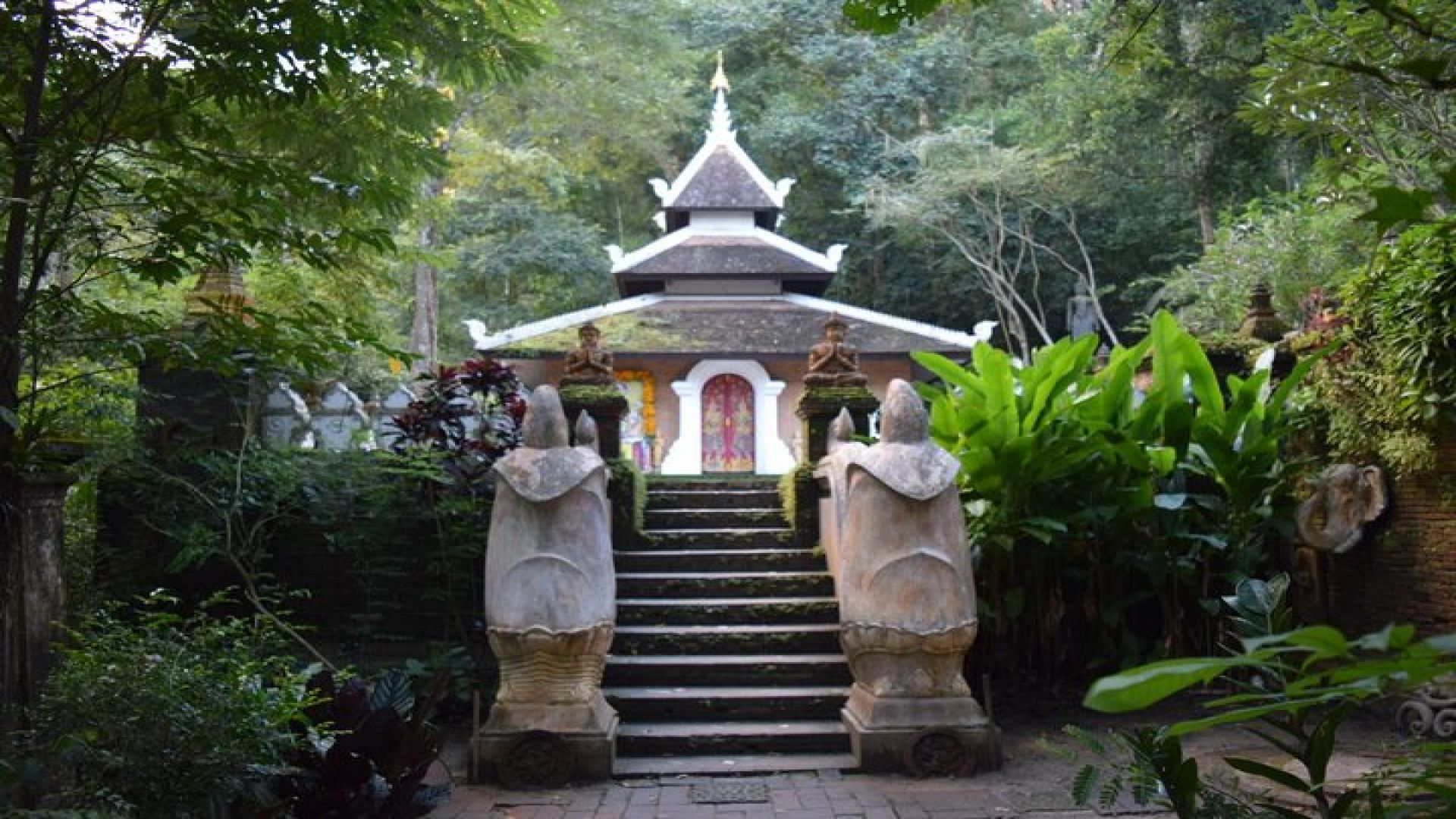 Half Day Doi Suthep Temple and Palad Temple (Private tour)