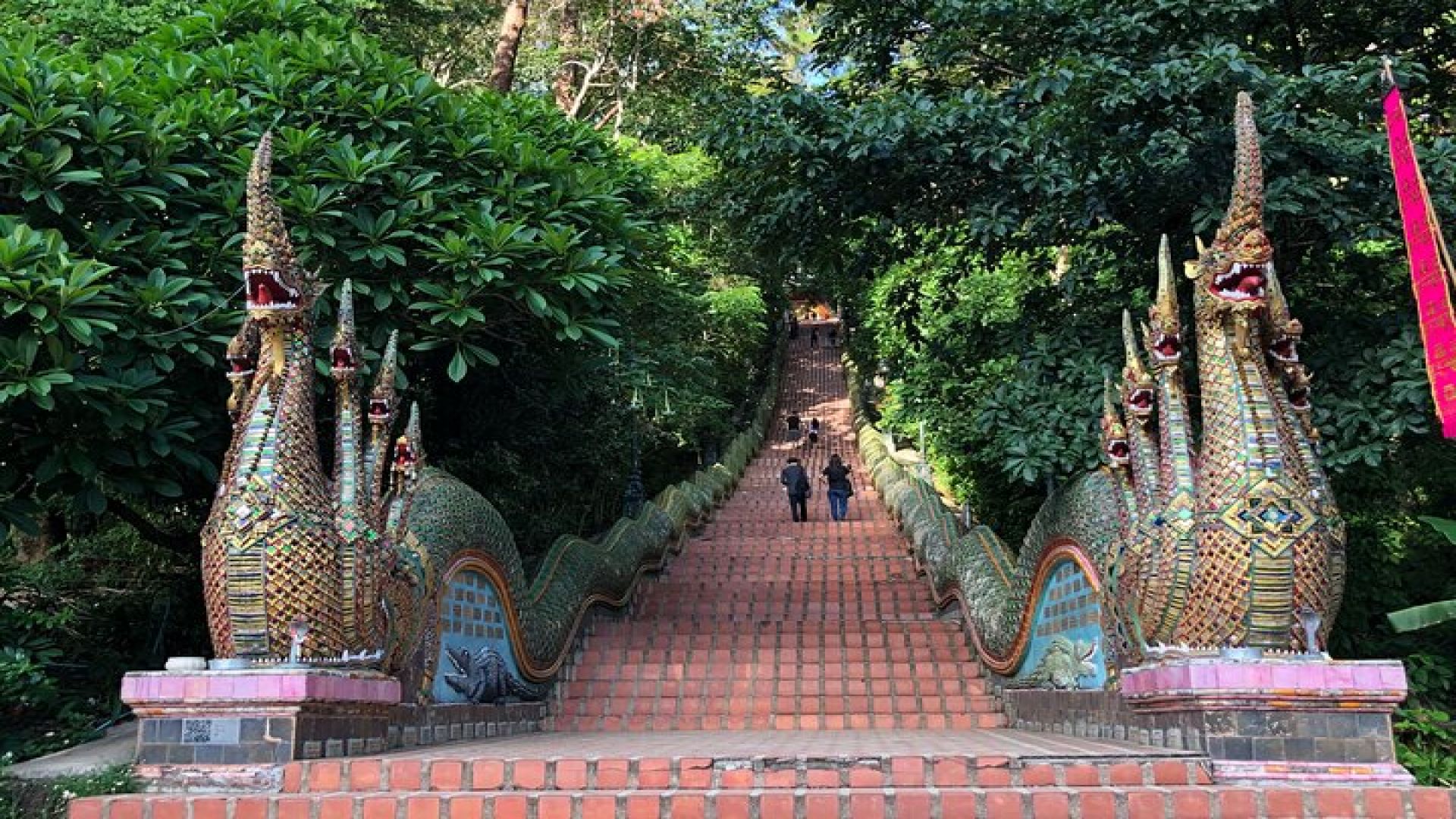 Half Day Doi Suthep Temple and Palad Temple (Private tour)