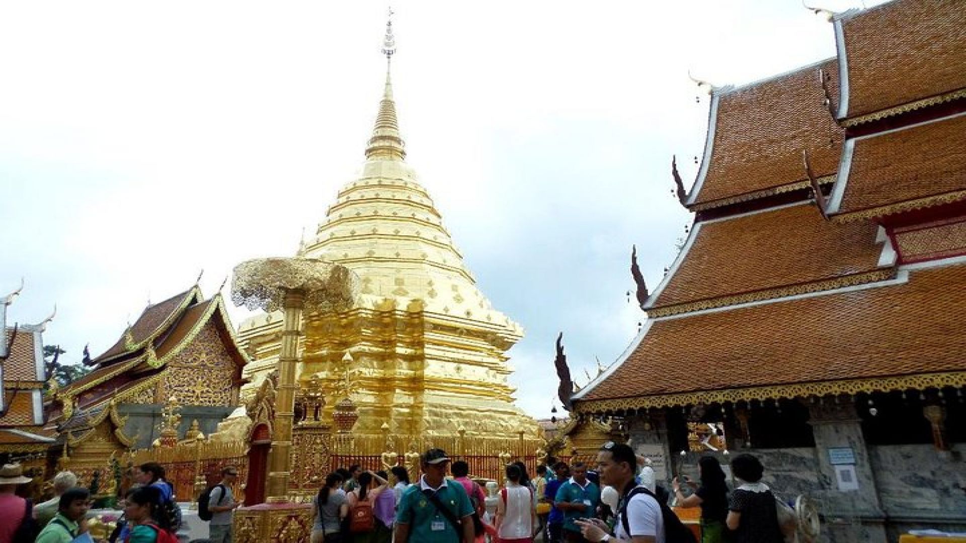 One Day Tour Doi Suthep Temple, Palad Temple, Orchid Farm, Longneck hill tribe village (Private tour)