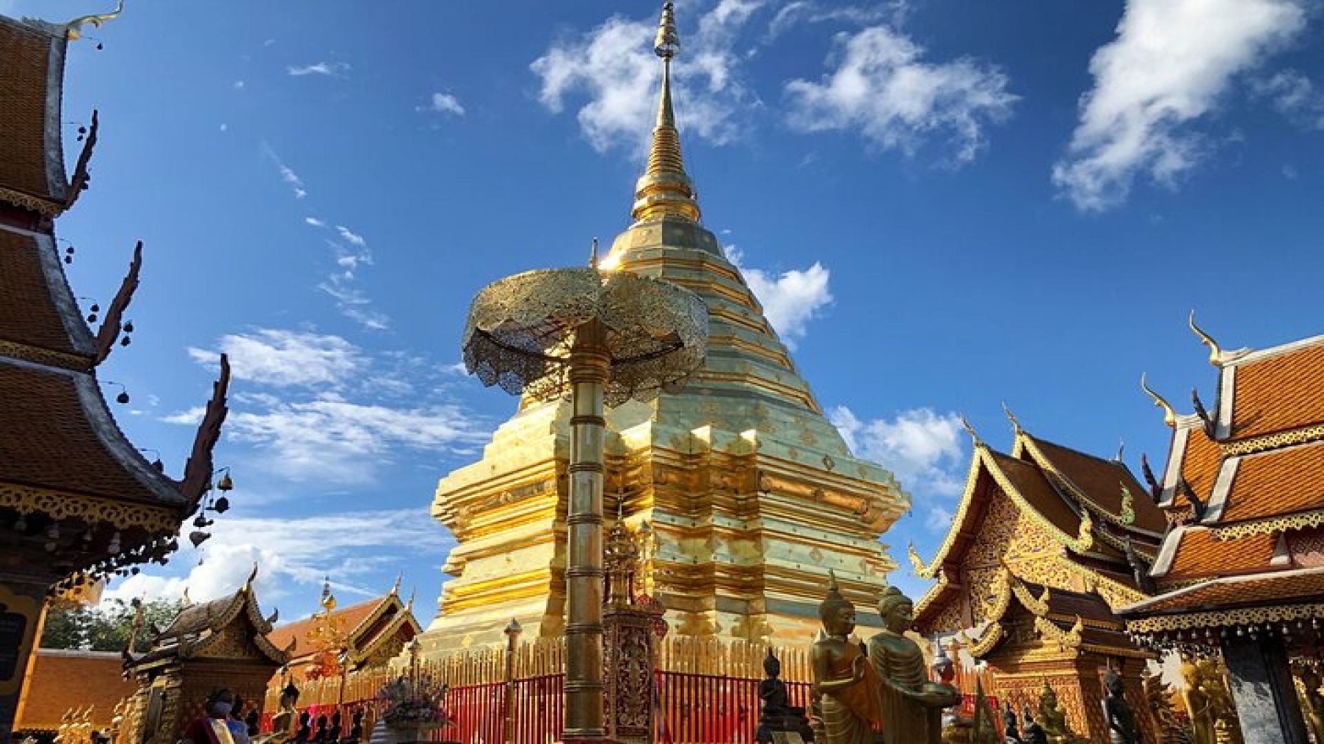 One Day Tour Doi Suthep Temple, Palad Temple, Orchid Farm, Longneck hill tribe village (Private tour)