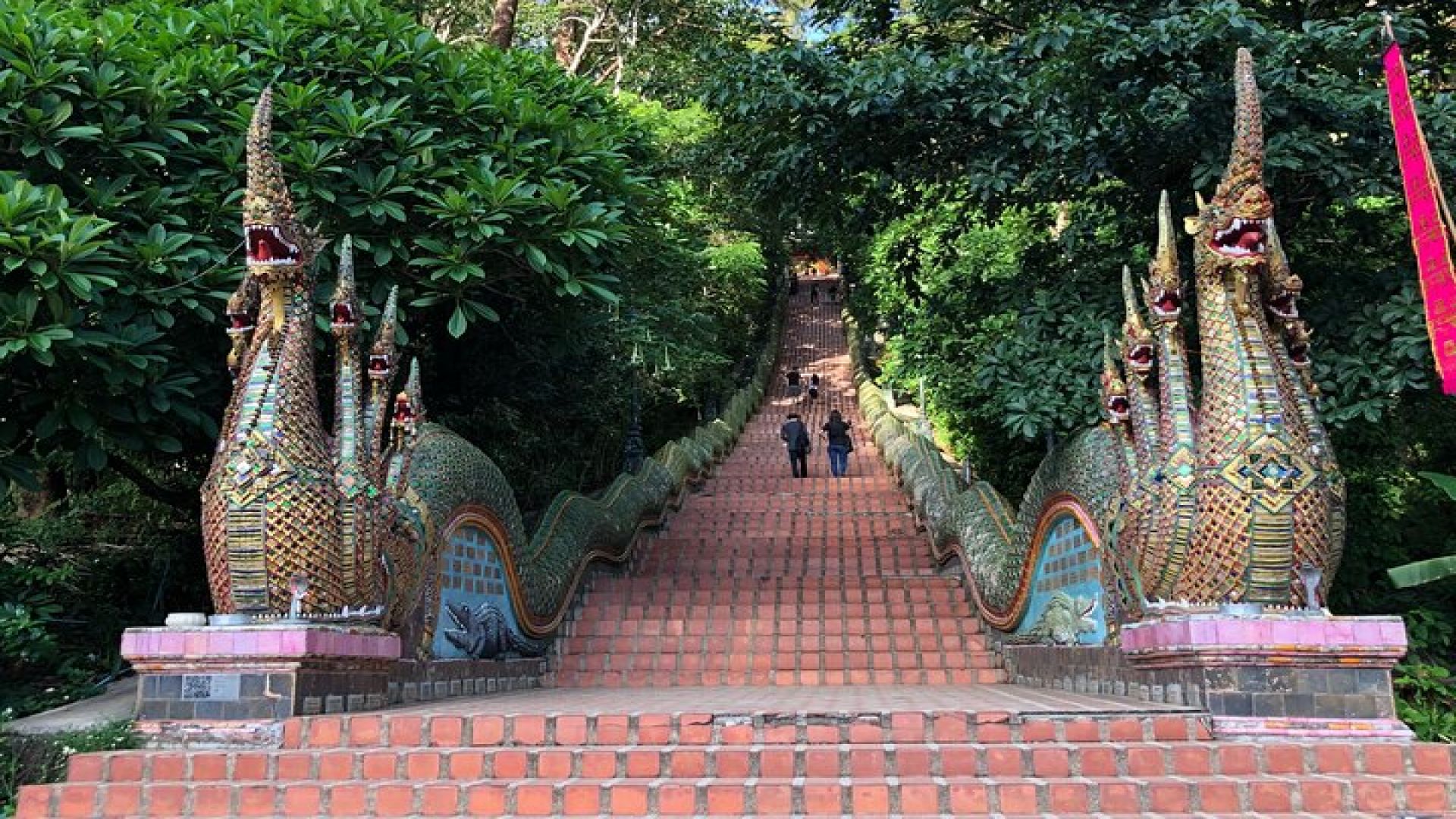 One Day Tour Doi Suthep Temple, Palad Temple, Orchid Farm, Longneck hill tribe village (Private tour)