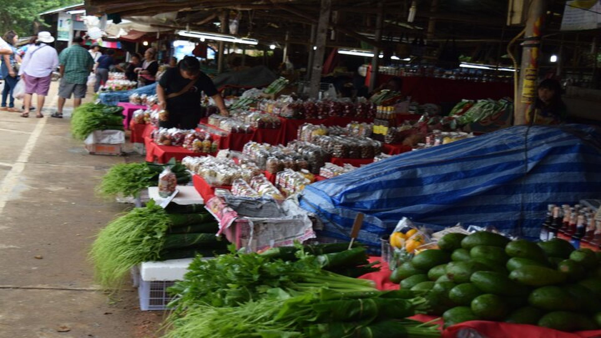 One Day Inthanon National Park (Private Tour)