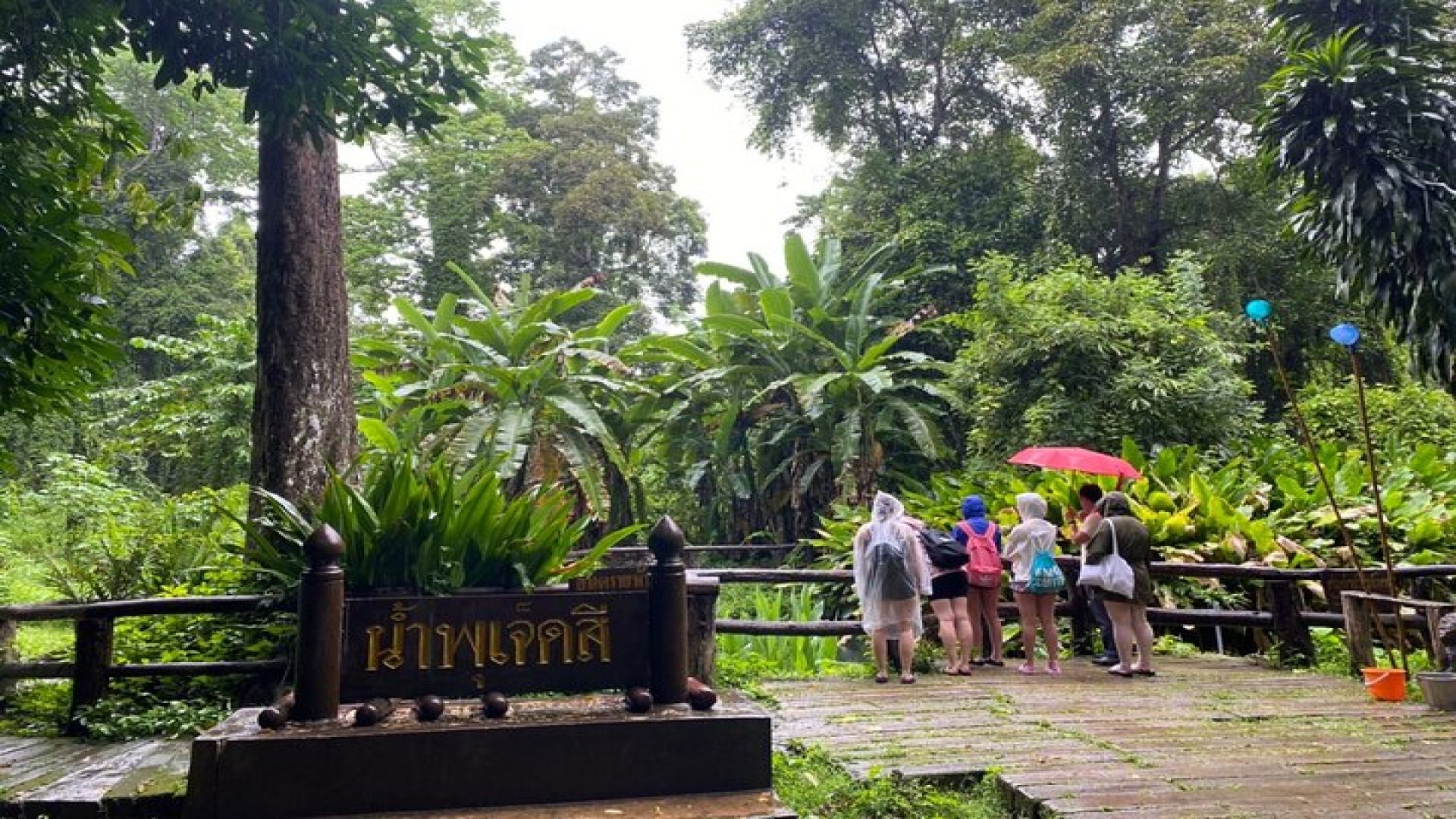 Half day Sticky Waterfall (Bua Thong Waterfall) and local market