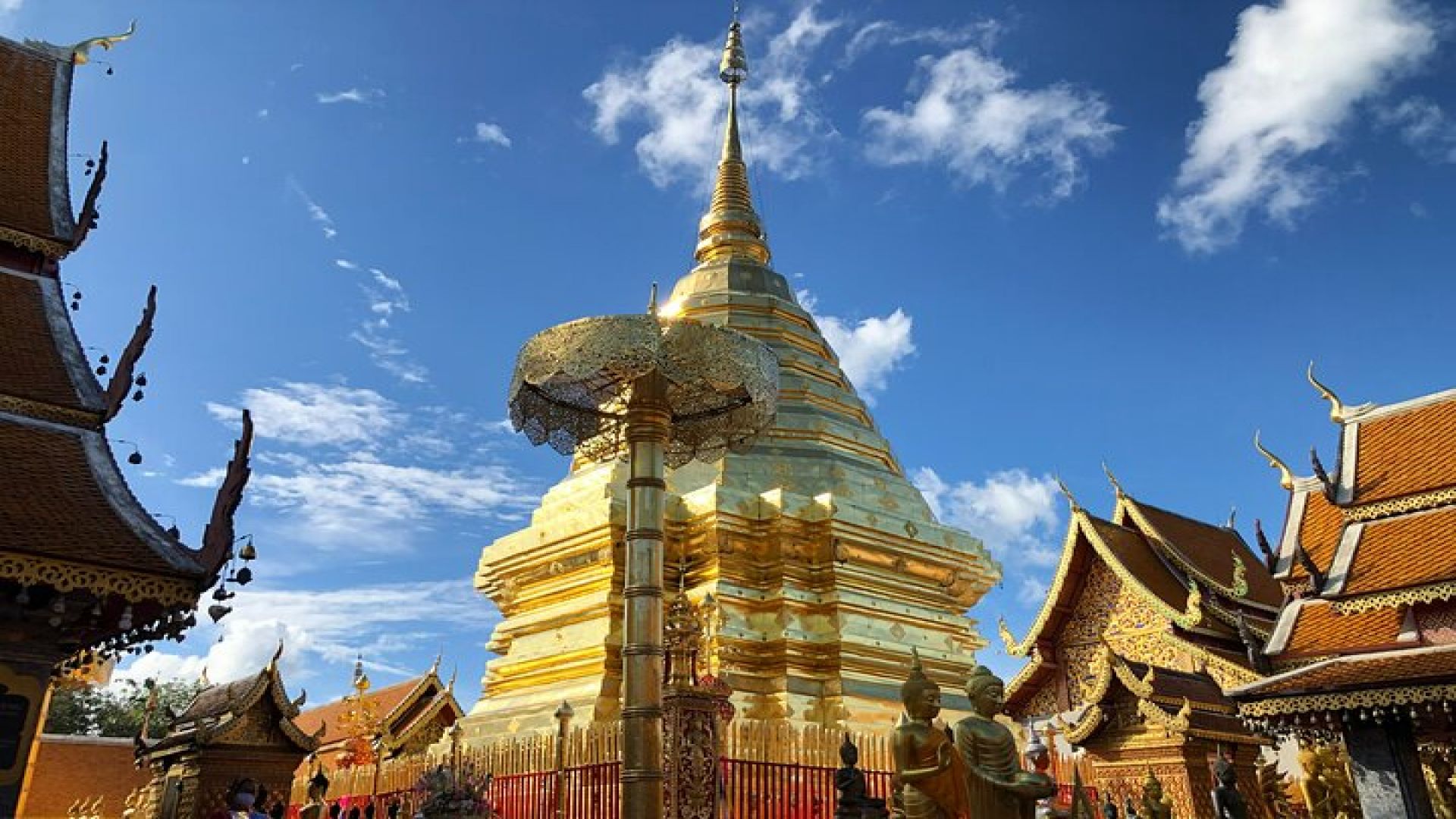 Half day Doi Suthep Temple and city temples (Private tour)