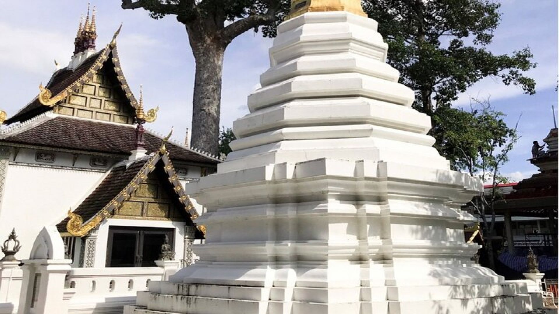 Half day Doi Suthep Temple and city temples (Private tour)