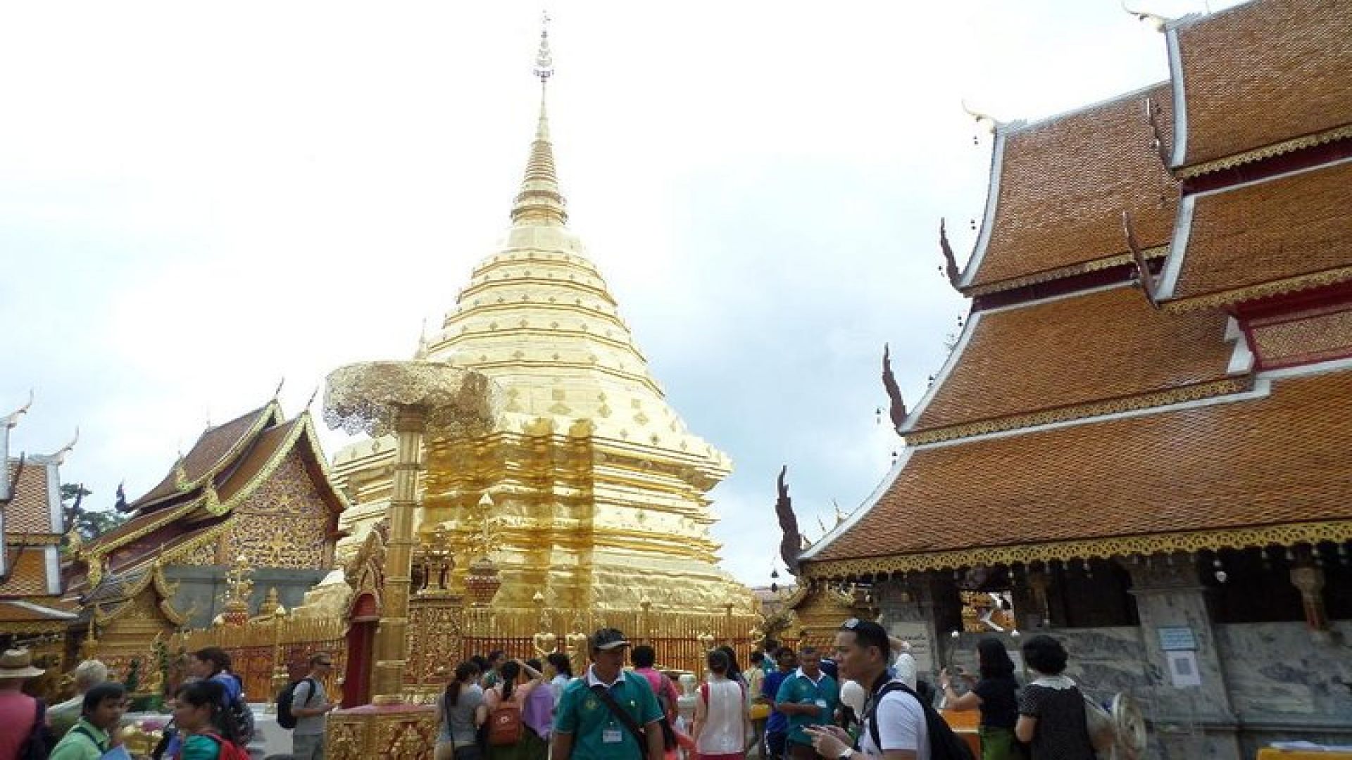 One day Doi Suthep Temple, Longneck hill tribe & Sticky waterfall