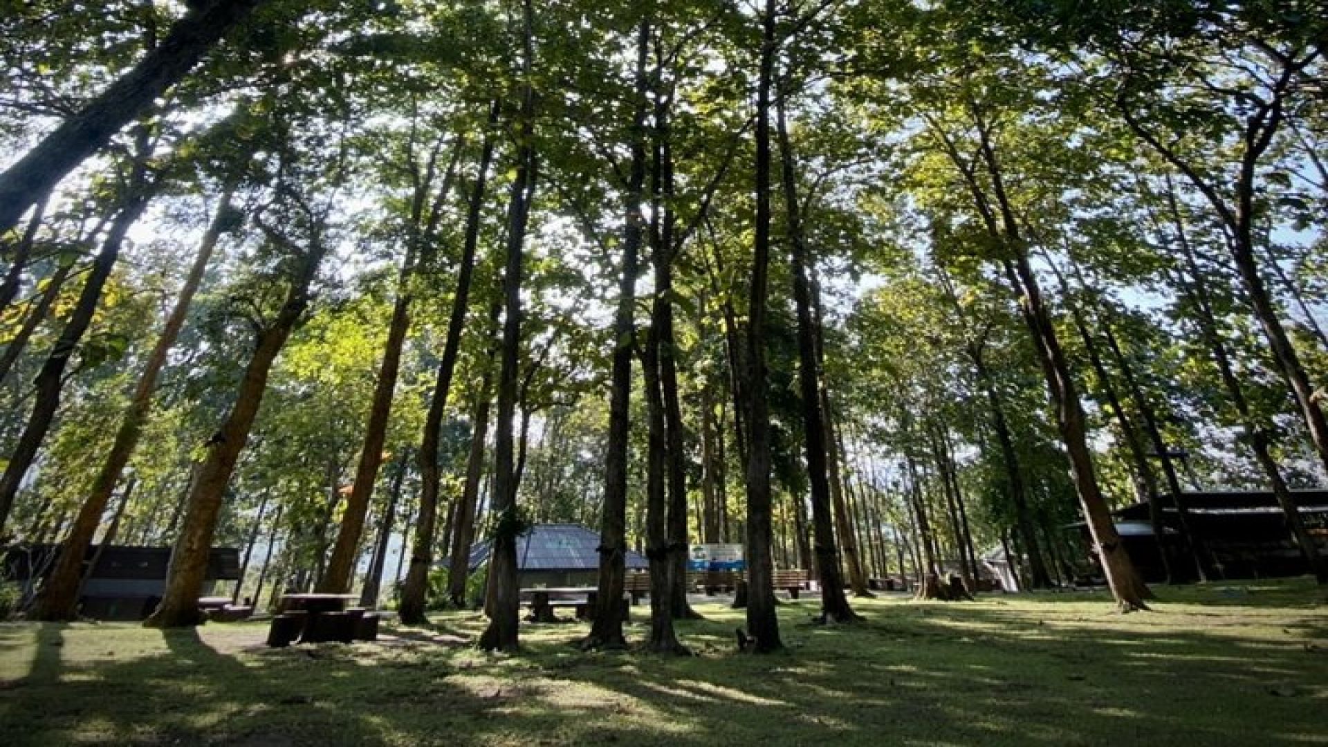 One day Doi Suthep Temple, Longneck hill tribe & Sticky waterfall