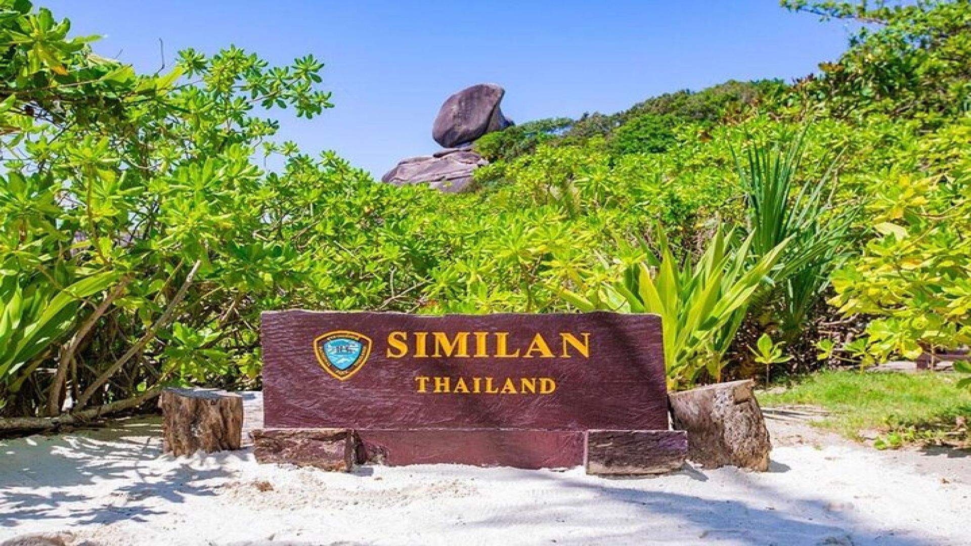 Similan Islands Day Trip by Speedboat from Khaolak/Phuket 