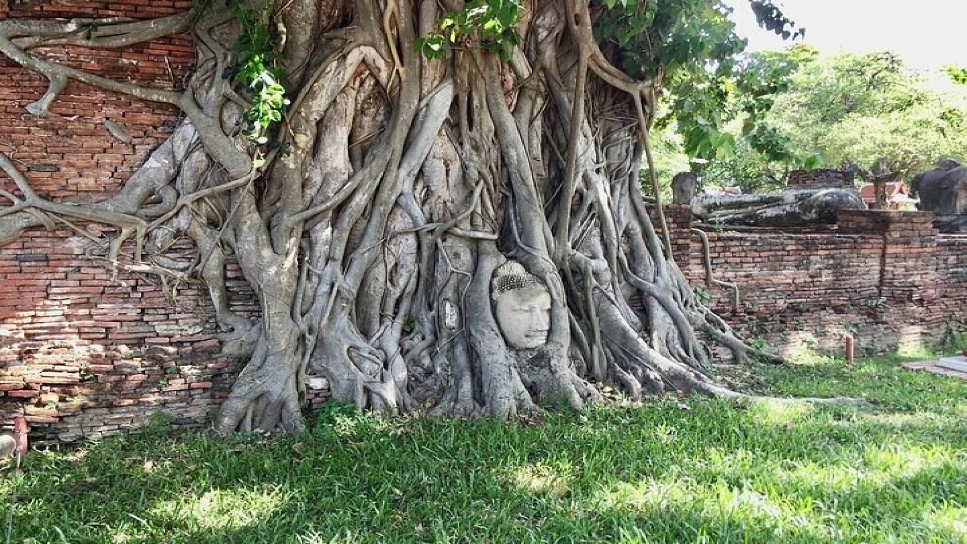 Ayutthaya World Heritage Temples Day Tour From Bangkok 