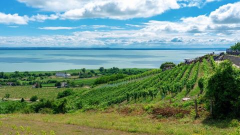 Full-Day Private Lake Balaton Wine Tour Experience from Budapest