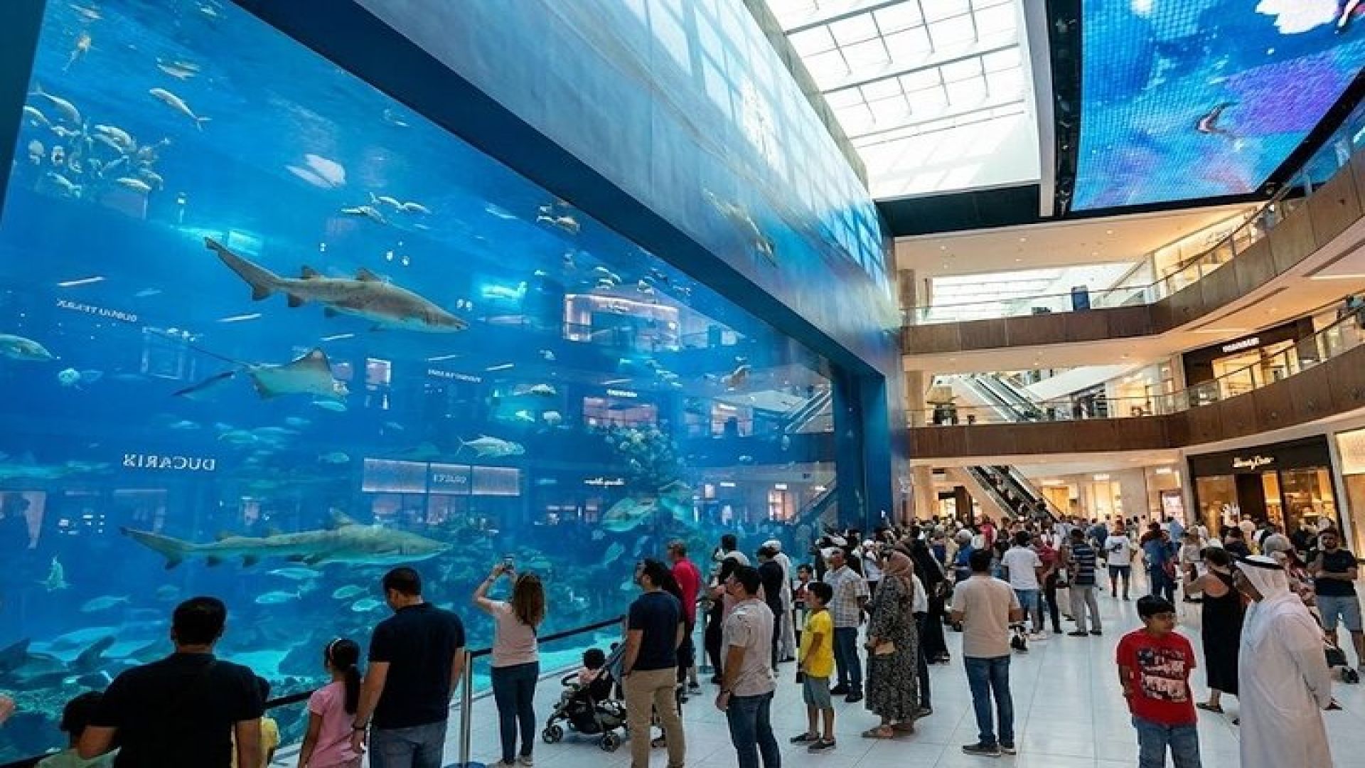 Dubai\'s Hidden Gems: Self Guided City Tour