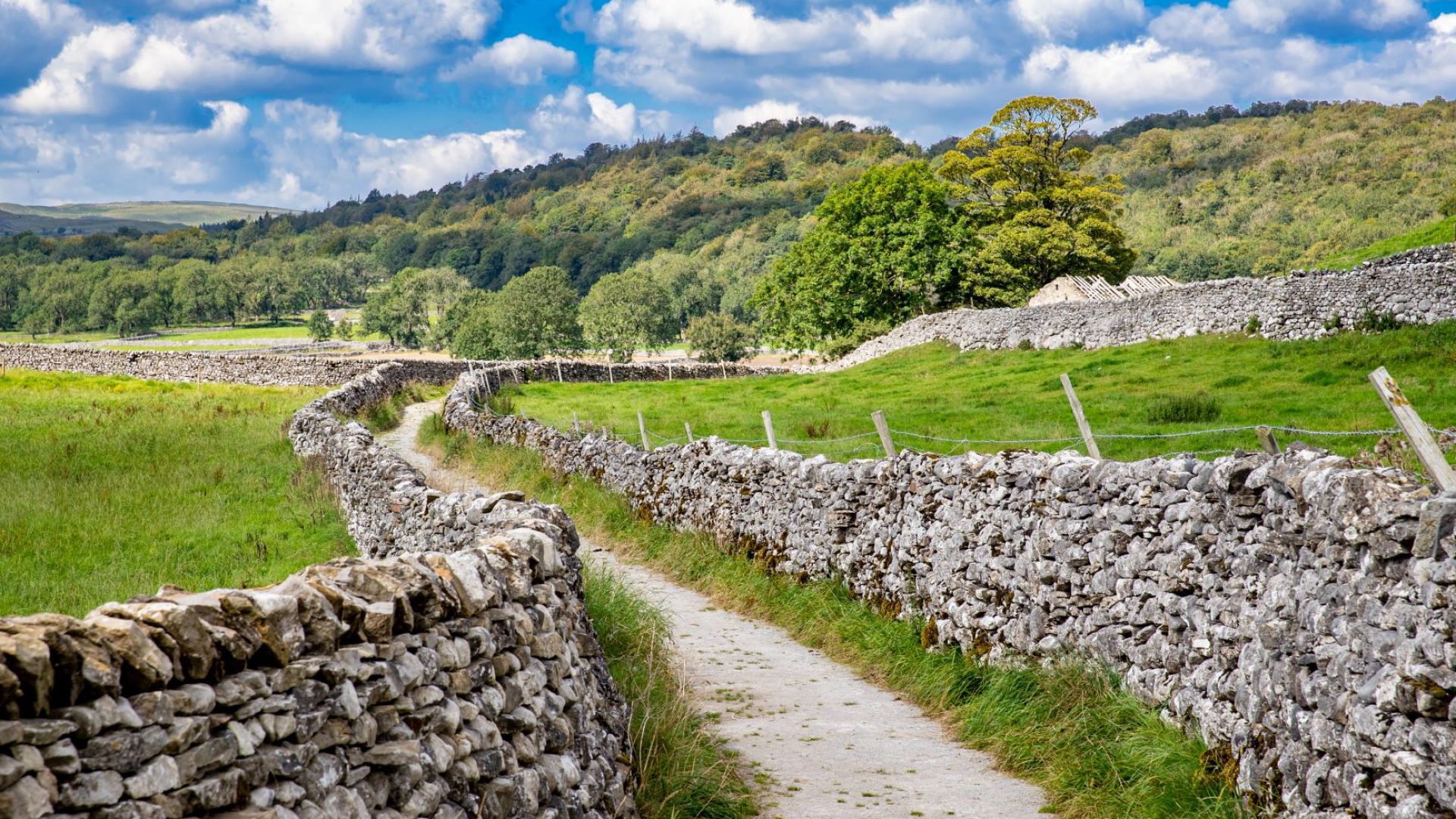 All Creatures Great and Small Tour