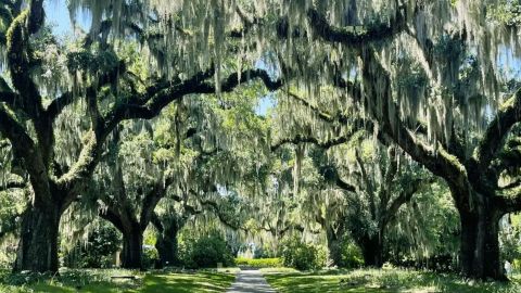 Tickets to Brookgreen Gardens
