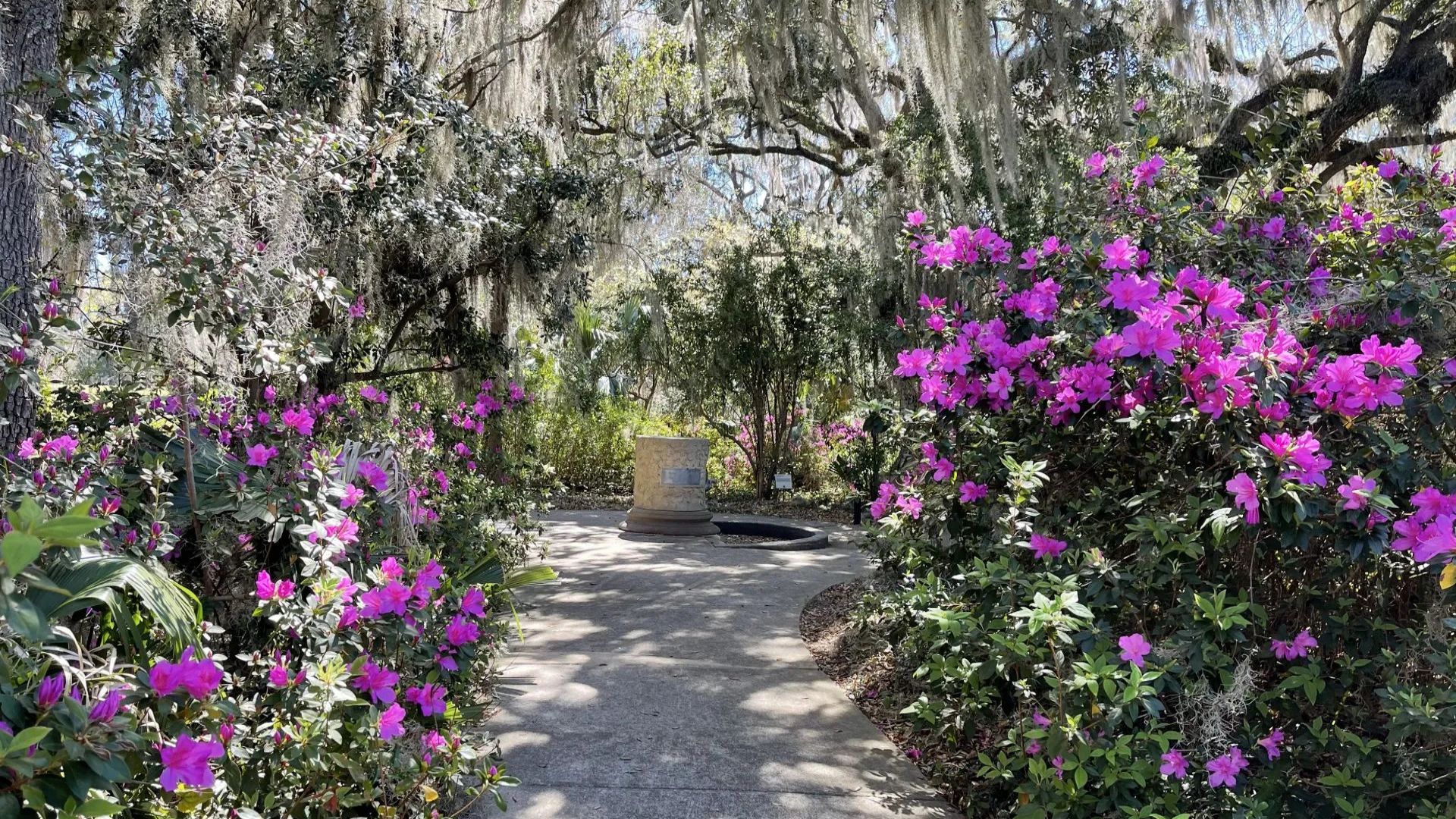 Tickets to Brookgreen Gardens