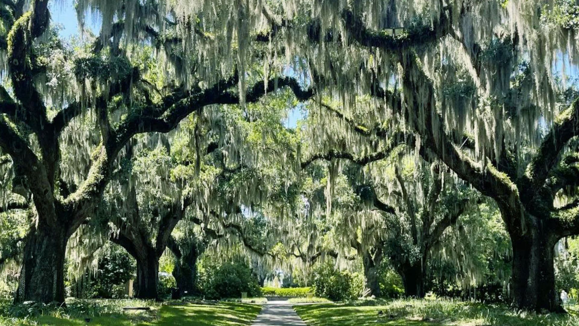 Tickets to Brookgreen Gardens