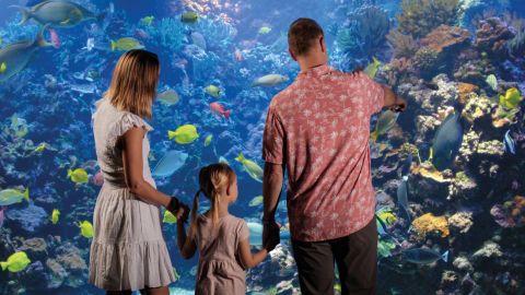 Tickets to Maui Ocean Center