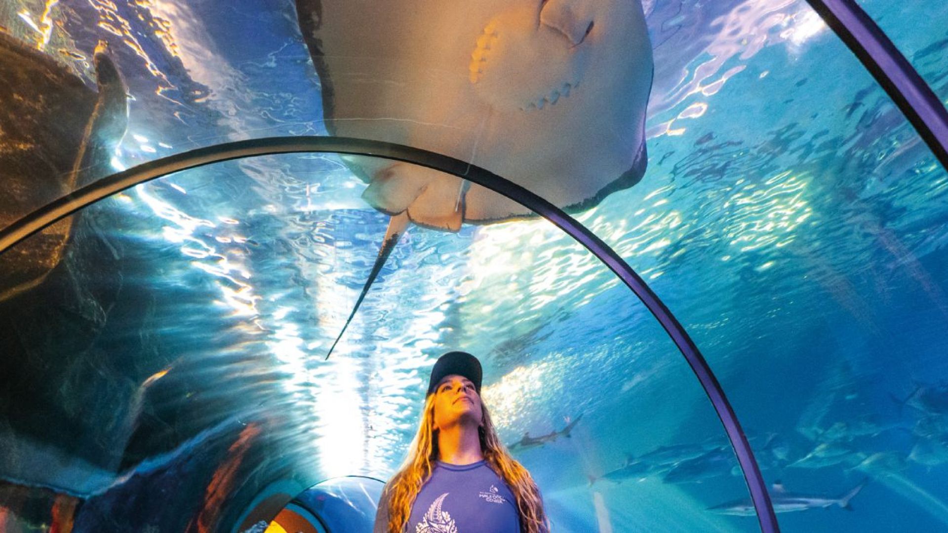 Tickets to Maui Ocean Center