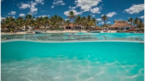 Private Tulum Ruins, Turtles in Akumal and Cenote Adventure