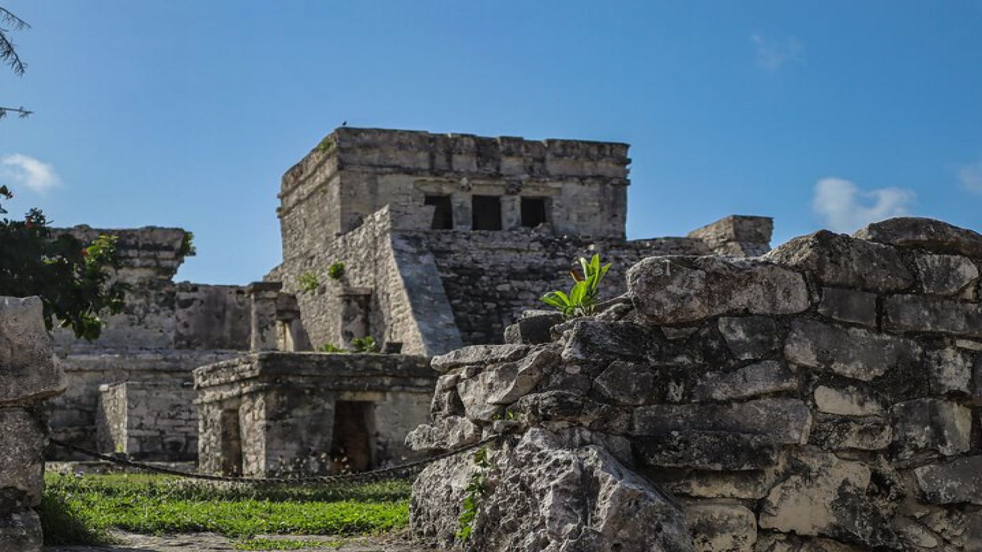 Tulum Ruins, Turtles in Akumal and Cenote tour